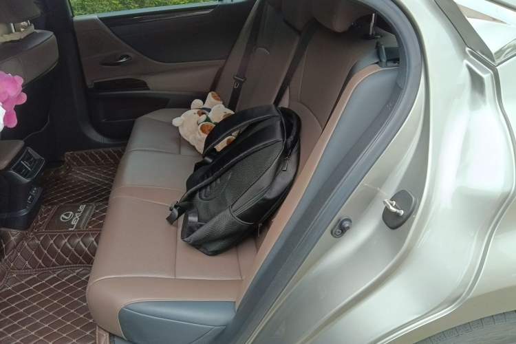 Used Lexus ES 2023 200 Excellence Edition Left Rear Seat