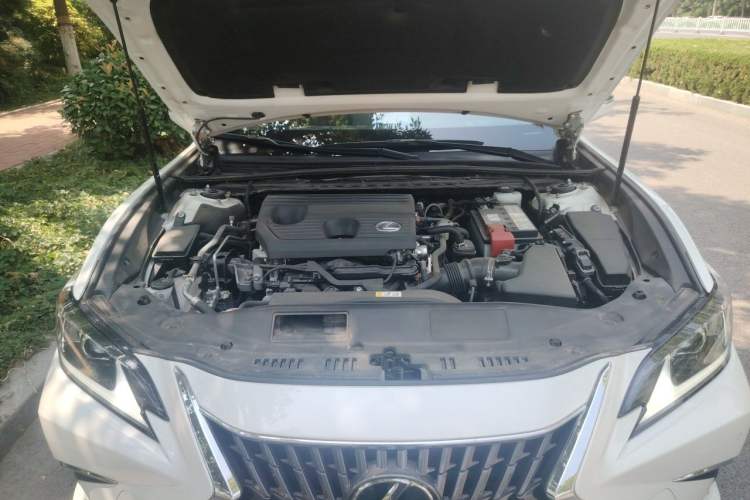 Used Lexus ES 2023 200 Excellence Edition Engine Bay