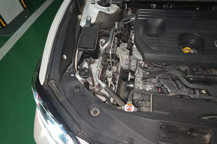 Used Lexus ES 2023 200 Excellence Edition Engine Bay Right