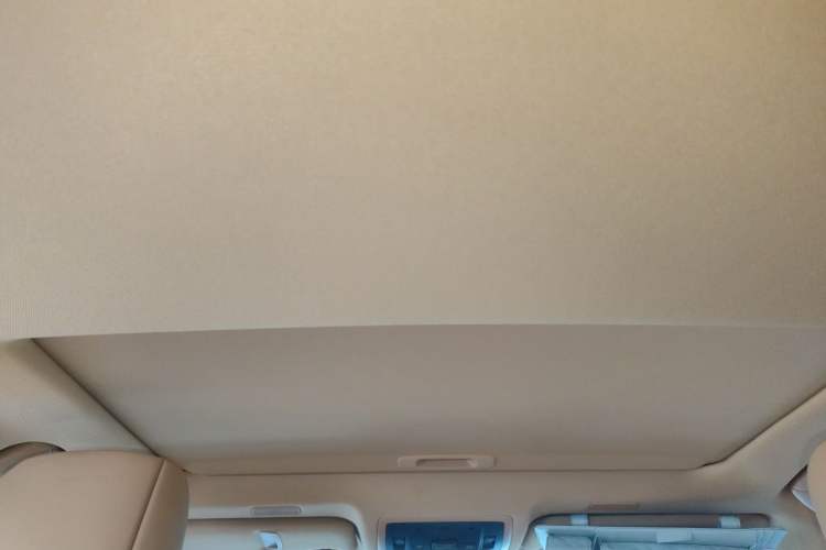 Used Lexus ES 2023 200 Excellence Edition Headliner