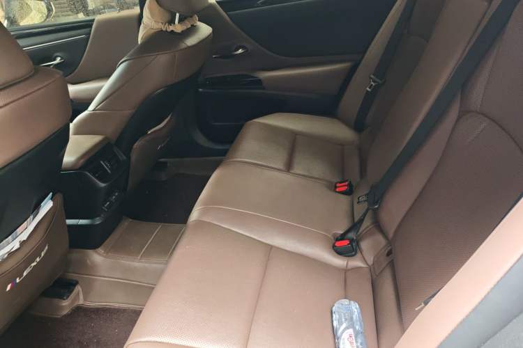 Used Lexus ES 2023 260 Excellence Edition Left Rear Seat