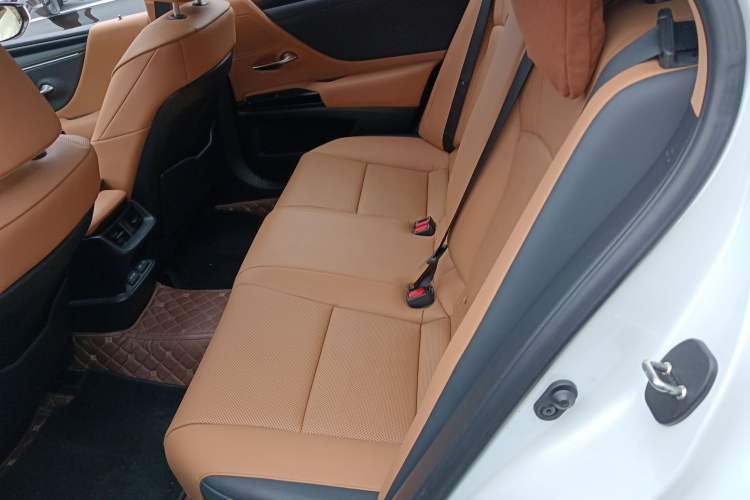 Used Lexus ES 2023 260 Excellence Edition Left Rear Seat