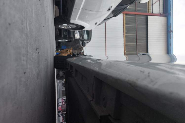Used Lexus ES 2023 200 Excellence Edition Right Side Sill