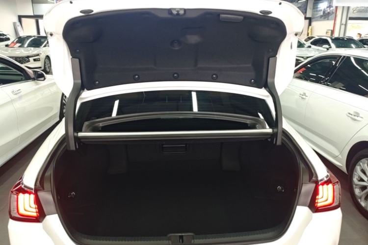 Used Lexus ES 2023 200 Excellence Edition Trunk