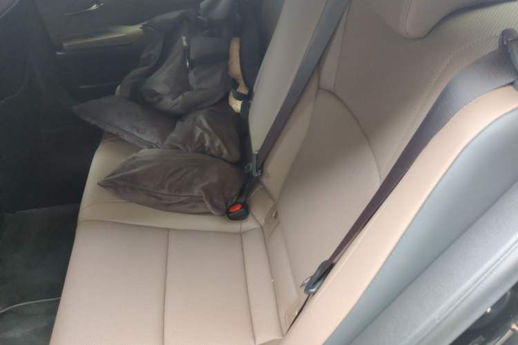 Used Lexus ES 2024 200 Premium Edition Left Rear Seat