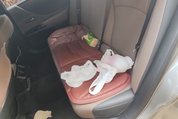 Used Lexus ES 2024 200 Premium Edition Left Rear Seat