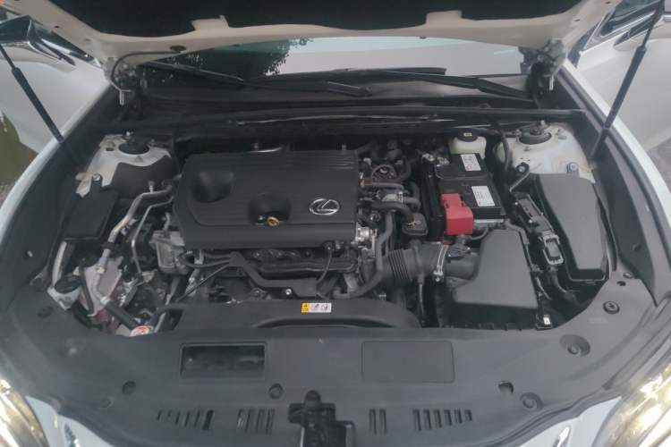 Used Lexus ES 2024 200 Premium Edition Engine Bay