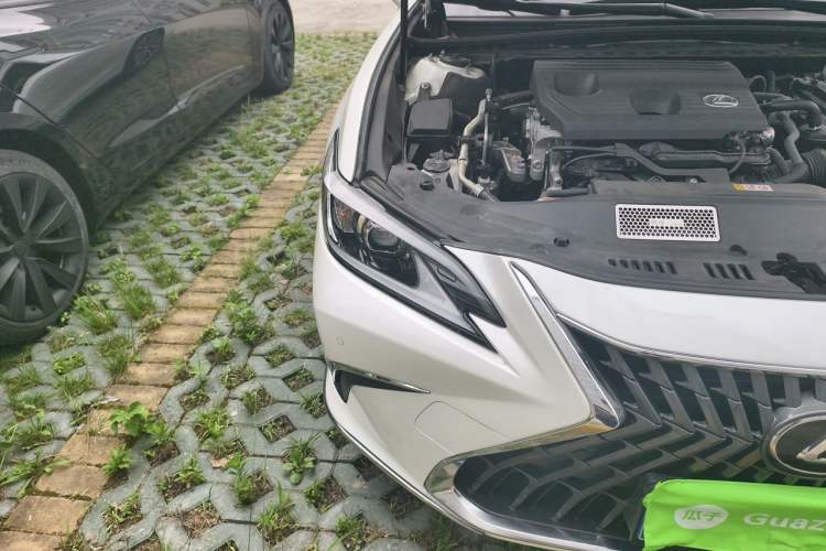 Used Lexus ES 2024 200 Premium Edition Engine Bay Right