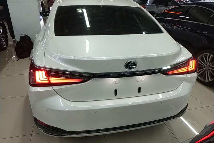 Used Lexus ES 2024 200 Premium Edition Rear