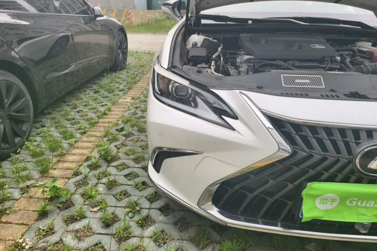 Used Lexus ES 2024 200 Premium Edition Right Front Headlight
