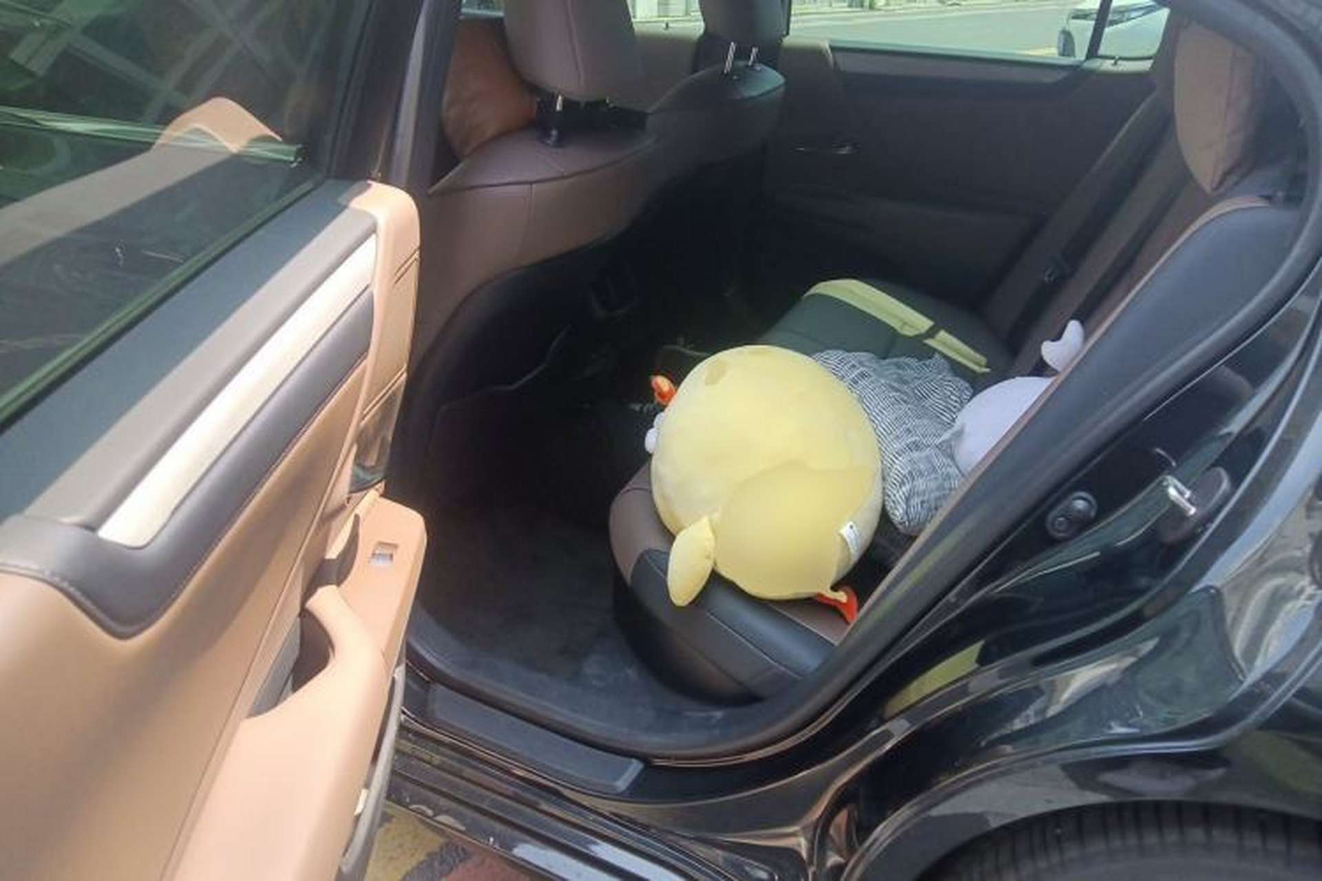 Used Lexus ES 2025 300h Deluxe Edition Left Rear Seat