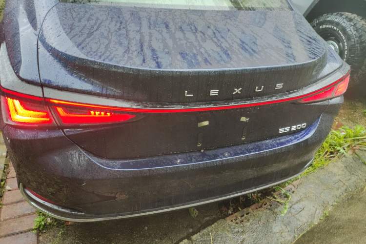 Used Lexus ES 2025 200 Premium Edition Rear
