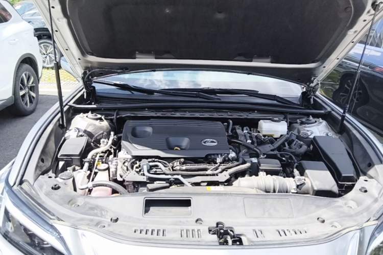 Used Lexus ES 2025 300h Deluxe Edition Engine Bay