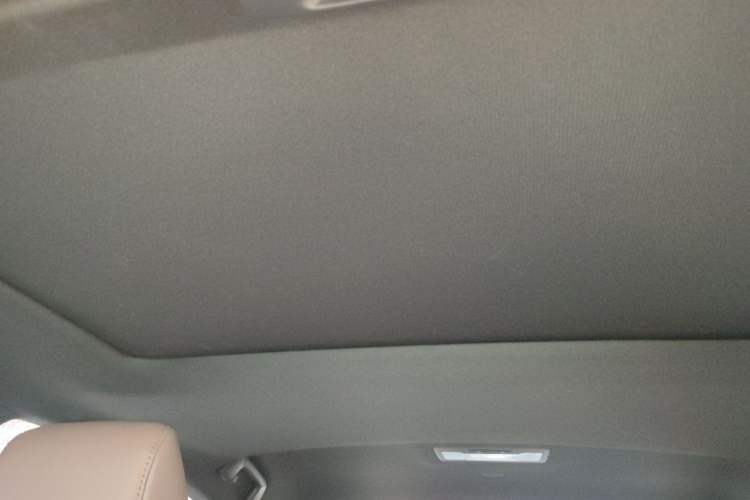 Used Lexus ES 2025 200 Premium Edition Headliner