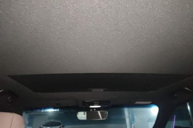 Used Lexus ES 2025 200 Premium Edition Headliner