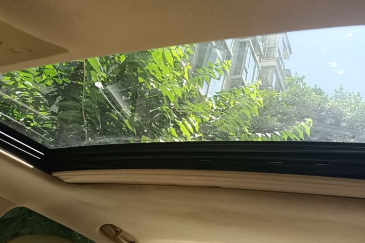 Used Lexus GS 2005 300 Headliner