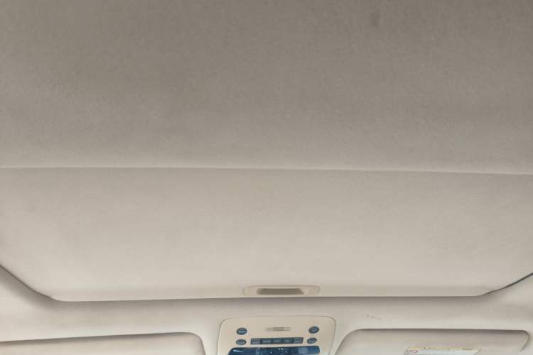 Used Lexus GS 2010 300 Headliner