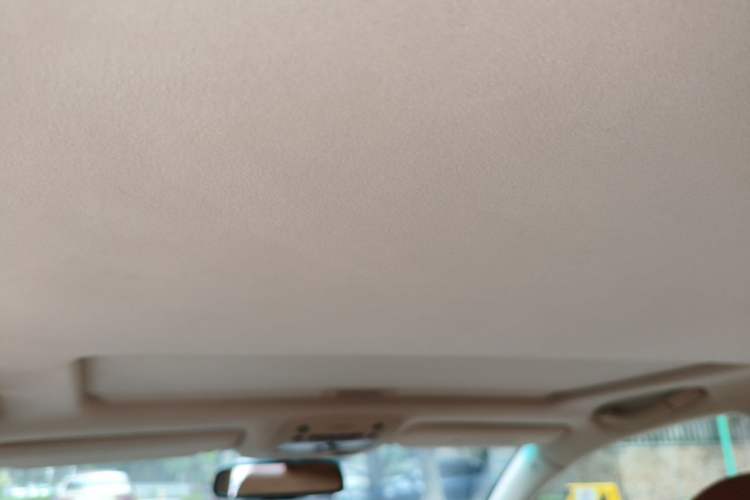 Used Lexus GS 2010 300 Headliner