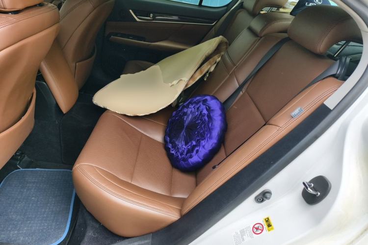Used Lexus GS 2012 250 Leading Edition Left Rear Seat