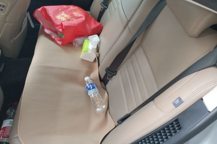 Used Lexus GS 2016 450h Left Rear Seat