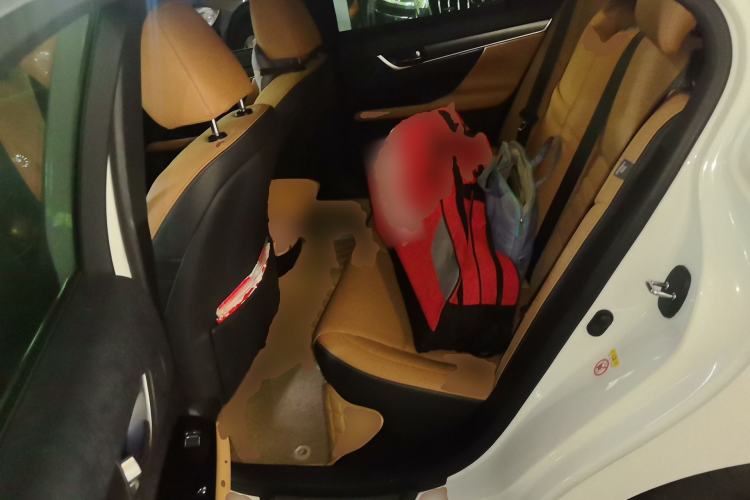 Used Lexus GS 2016 200t F SPORT Left Rear Seat