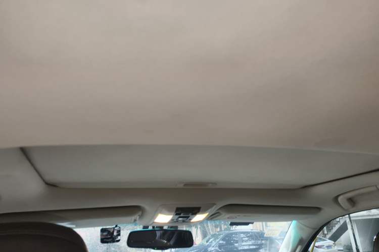 Used Lexus GX 2010 460 Headliner