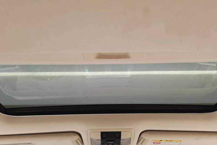 Used Lexus GX 2010 460 Headliner