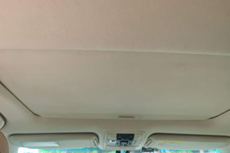 Used Lexus GX 2010 460 Headliner