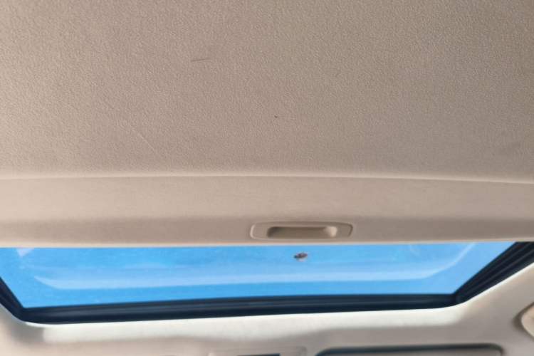 Used Lexus GX 2010 460 Headliner
