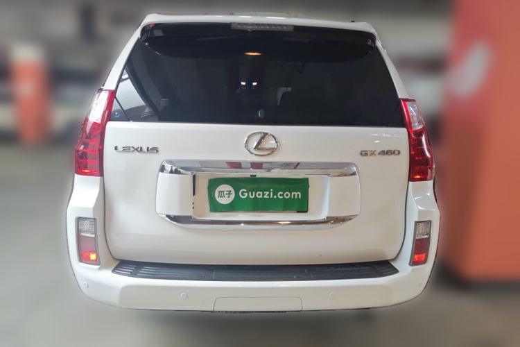 Used Lexus GX 2010 460 Rear