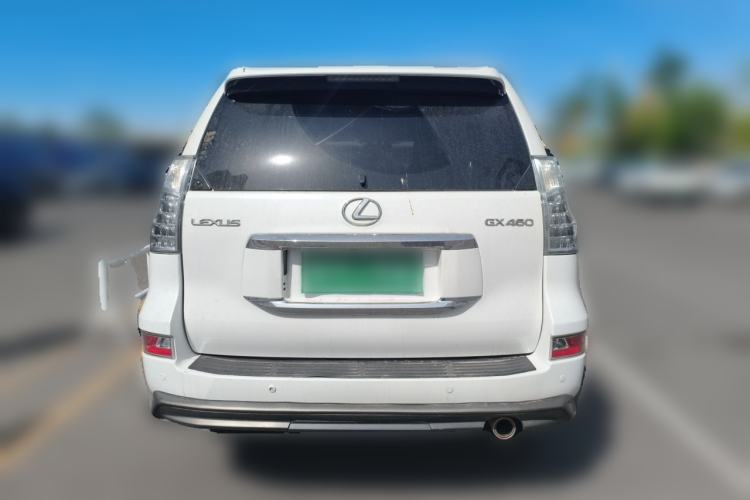 Used Lexus GX 2010 460 Rear