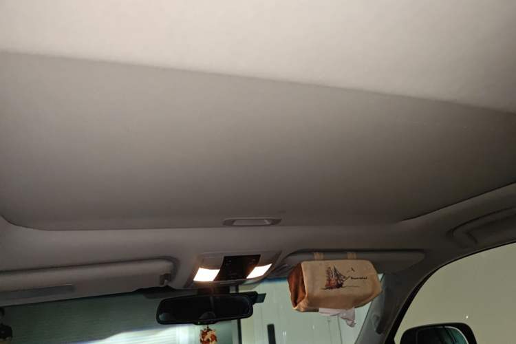 Used Lexus GX 2014 400 Deluxe Edition Headliner
