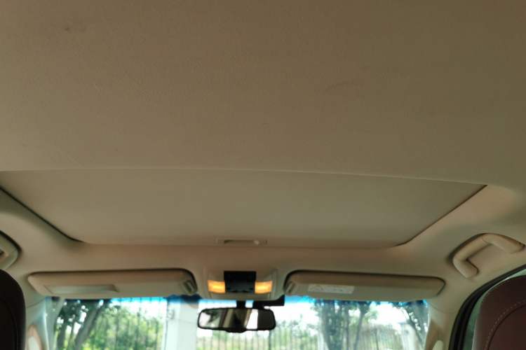 Used Lexus GX  Headliner