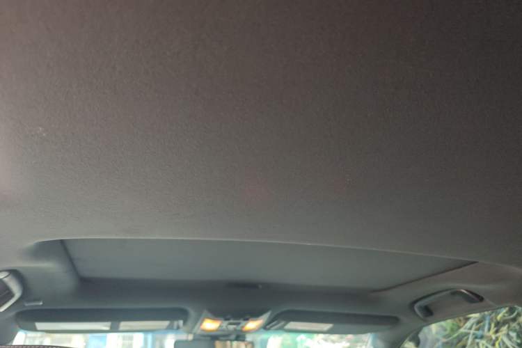 Used Lexus GX  Headliner