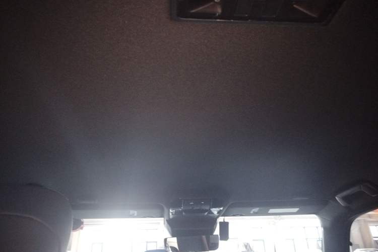 Used Lexus GX 2024 OVERTRAIL Yuanfeng Edition Headliner