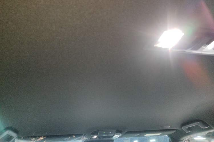 Used Lexus GX 2024 OVERTRAIL Yuanfeng Edition Headliner