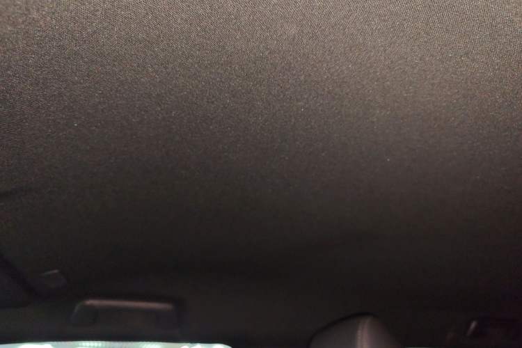 Used Lexus GX 2024 OVERTRAIL Yuanfeng Edition Headliner