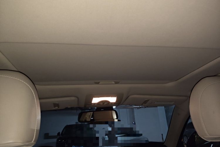 Used Lexus IS 2008 300 Luxury Edition Headliner