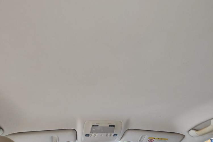 Used Lexus IS 2009 300 Headliner
