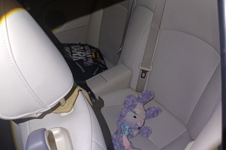Used Lexus IS 2009 300C Left Rear Seat