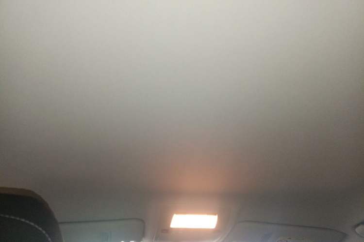 Used Lexus IS 2009 300 Headliner