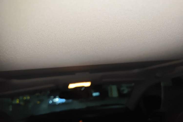 Used Lexus IS 2011 250 Sport Edition Headliner