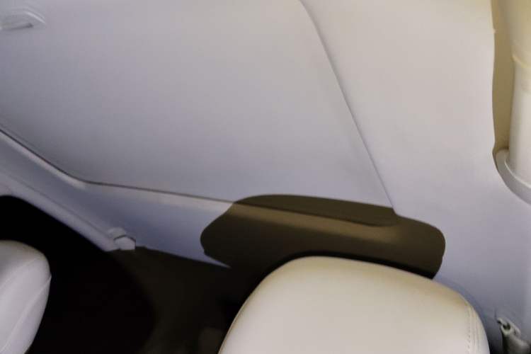 Used Lexus IS 2011 250 Sport Edition Headliner