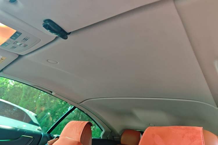 Used Lexus IS 2011 250C Headliner