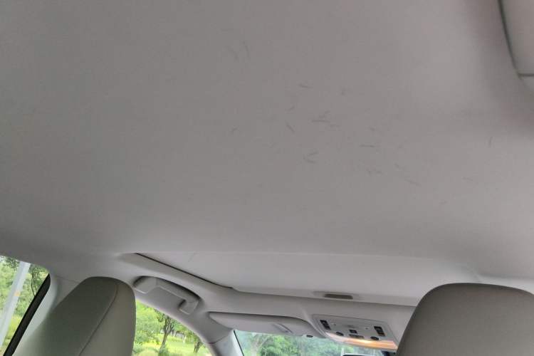 Used Lexus IS 2013 250 FENGSHANG Edition Headliner