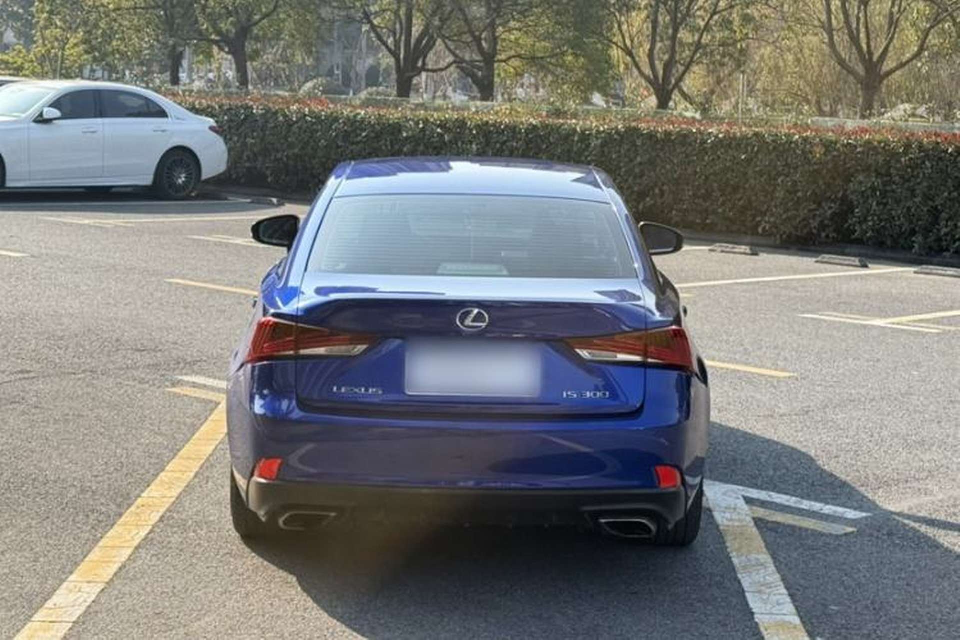 Used Lexus IS 2017 300 F SPORT Edition Exterior 9