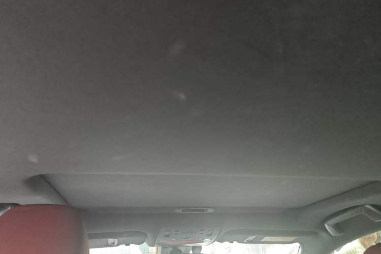 Used Lexus IS 2017 300 F SPORT Edition Headliner