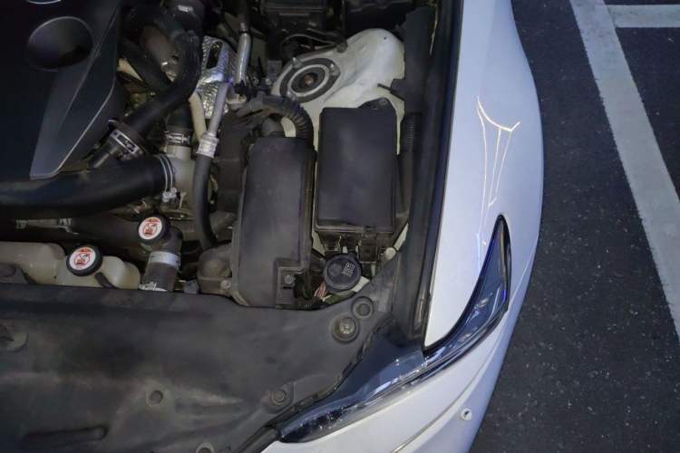 Used Lexus IS 2017 300 F SPORT Edition Engine Bay Left