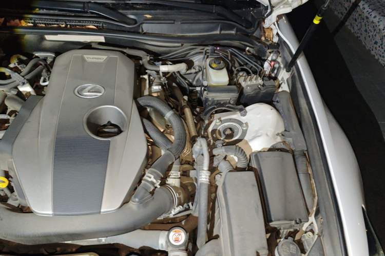 Used Lexus IS 2017 300 F SPORT Edition Engine Bay Left