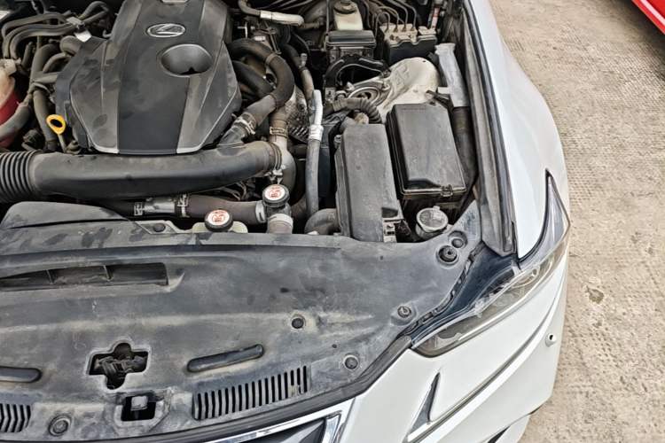 Used Lexus IS 2017 300 FENGSHANG Edition Engine Bay Left
